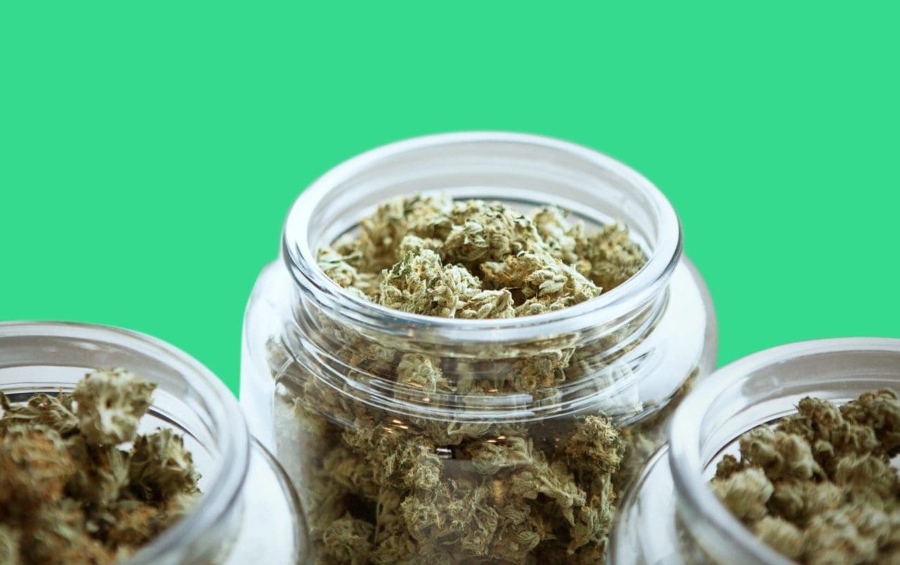 5 Best Weed Strains to Try in 2023