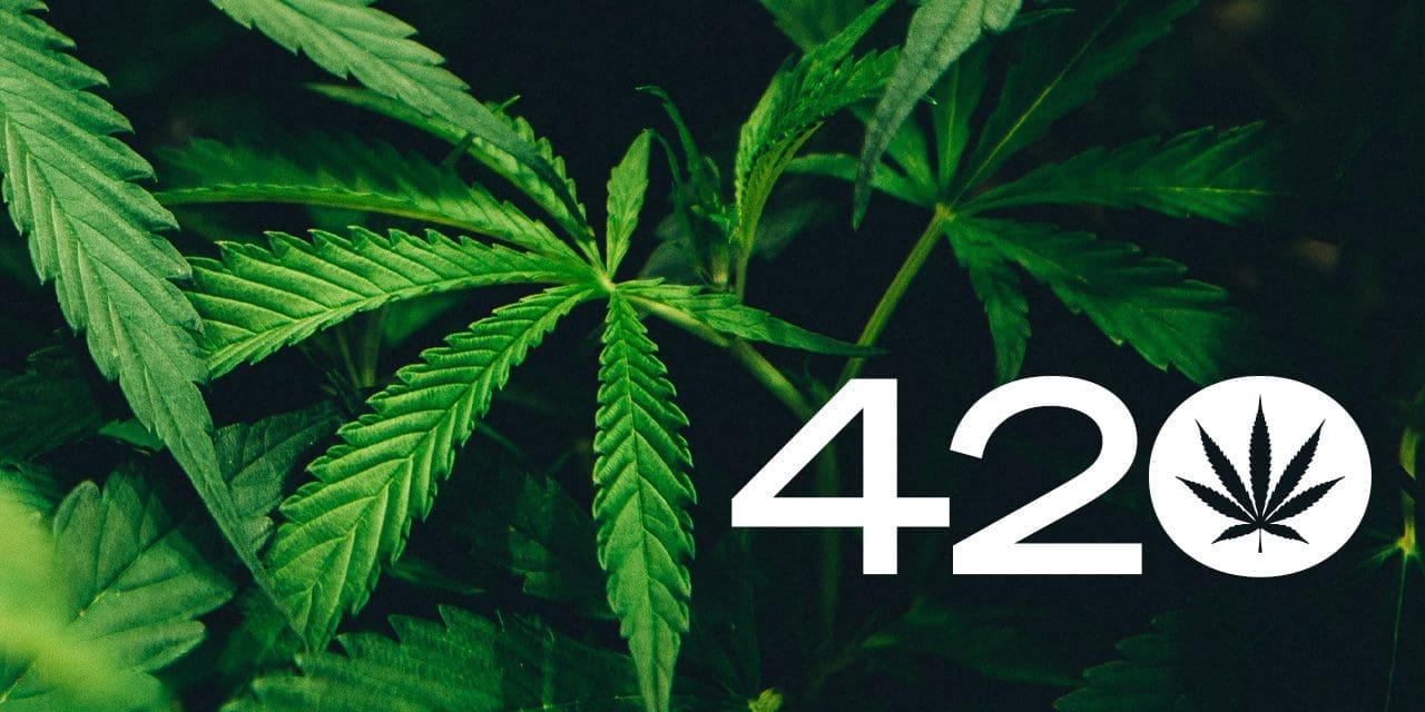 what-does-420-mean-the-history-of-april-20-and-cannabis