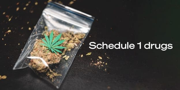 What Is Considered A Schedule 1 Drug