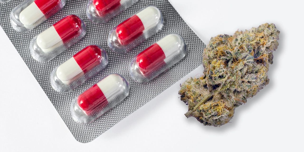 Is It Safe to Use Cannabis If You Take Prednisone?