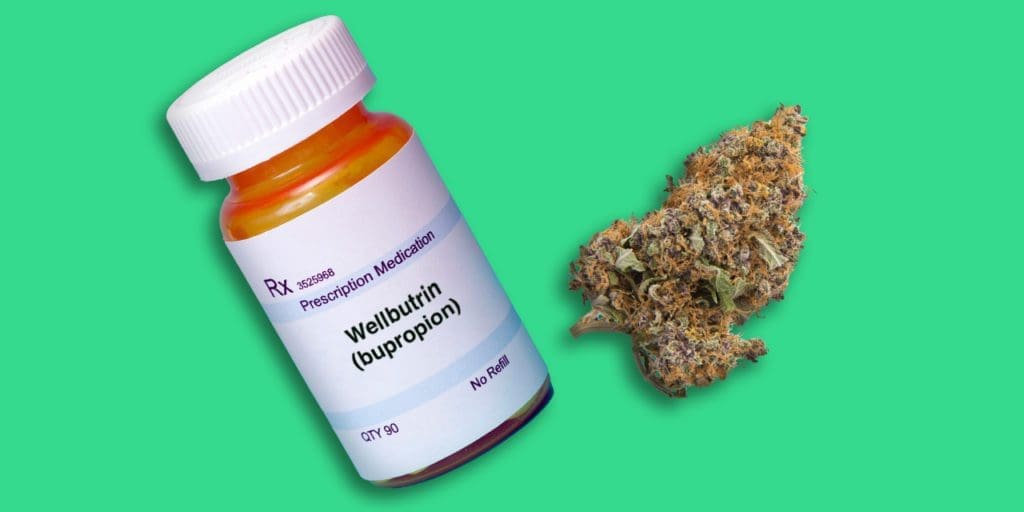 can-you-use-marijuana-if-you-take-wellbutrin