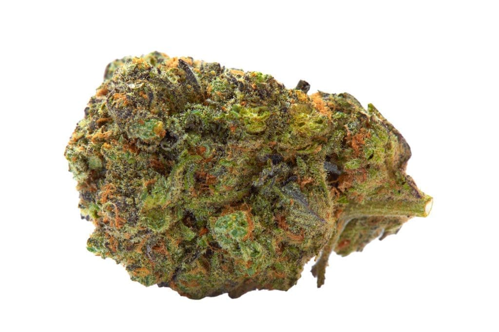gelato-marijuana-strain-aka-larry-bird-gelato-42
