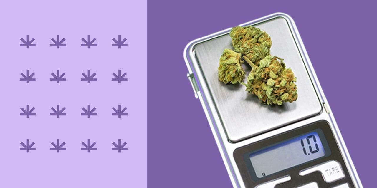 What Is a Zip of Weed, And How Much Does It Cost?